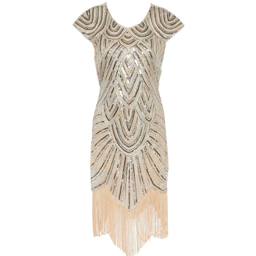 1920s Flapper Dress Costume NWOT